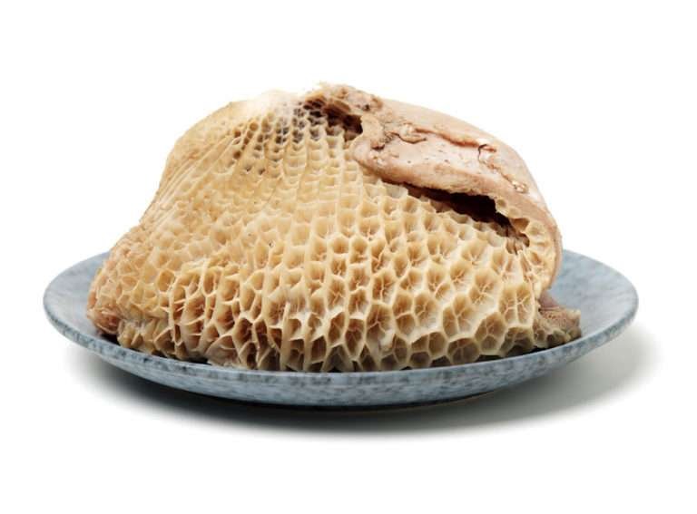 Raw honeycomb rumen on a plate.